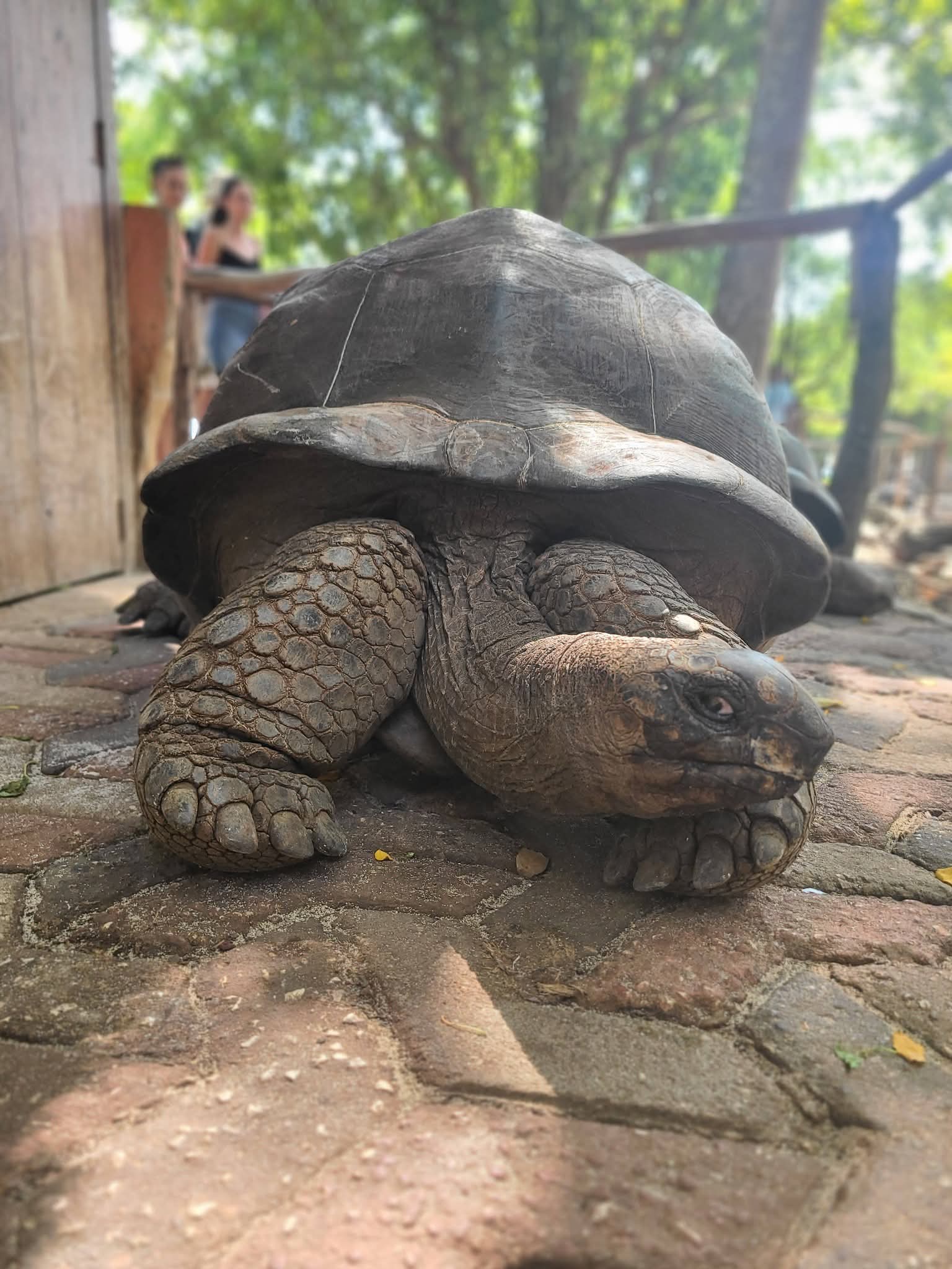 Prison Island view 11